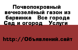 Почвопокровный, вечнозелёный газон из барвинка - Все города Сад и огород » Услуги   